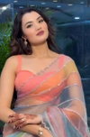 Sindur Organza Fabric With Beutiful Handwork Sarees Wholesale Suppliers In Mumbai